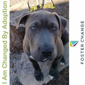 Meet your Posher, Inger